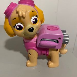 Paw Patrol- Sky character